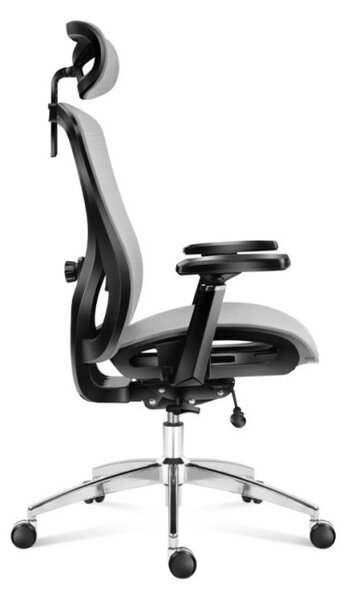 Kancelárska stolička Expert 5.3 Grey Mesh