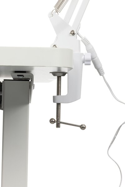 LAMPA NA PÍSACÍ STÔL, 60/15,8/33 cm Novel - Interiérové svietidlá