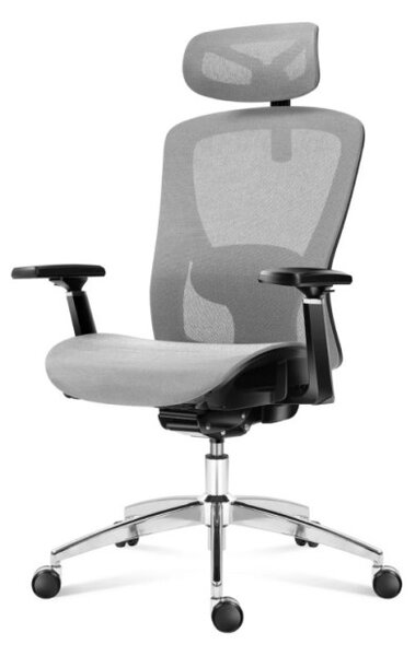 Kancelárska stolička Expert 5.3 Grey Mesh