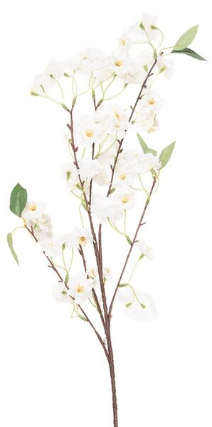 Vetvička čerešňa s bielymi kvetmi Cherry Blossom - 10*12*90 cm - Clayre & Eef