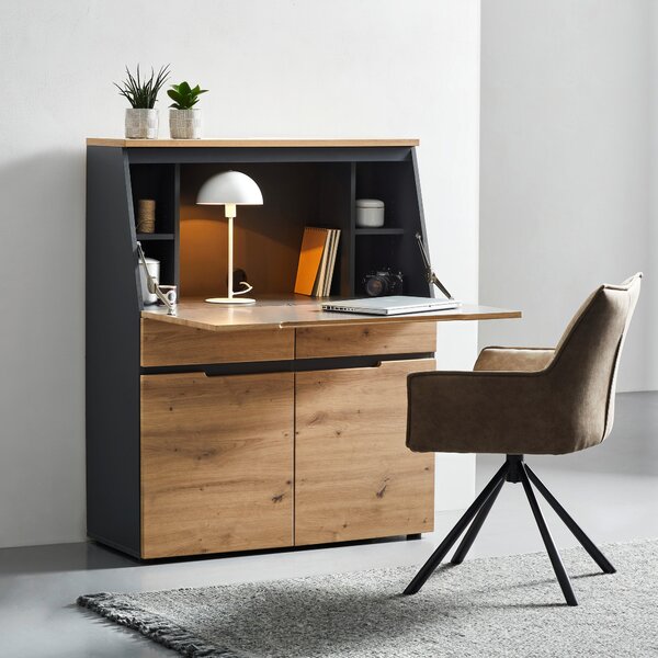 SEKRETÁR, 100/124/41 cm Voleo - Online Only kancelárie, Online Only