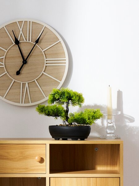 Sinsay - Dekoratívna rastlina bonsai v kvetináči - zelená
