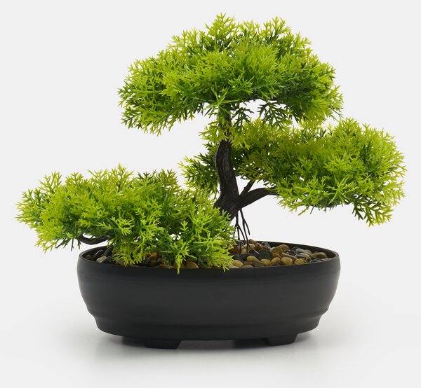 Sinsay - Dekoratívna rastlina bonsai v kvetináči - zelená