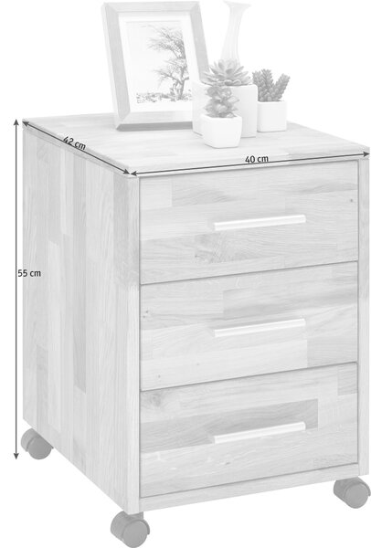 KONTAJNER NA KOLIESKACH, 40/56,7/42 cm Linea Natura - Kontajnery