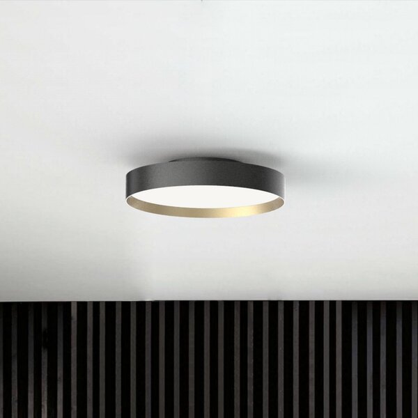 Stropné Lampa LOOM DESIGN, Lucia, stmievateľné, Čierna, Obývacia izba, Kov, Moderný