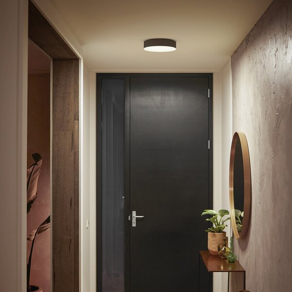 Stropné Lampa Philips Hue, Philips Hue, stmievateľné, Čierna, Obývacia izba, Kov, Moderný