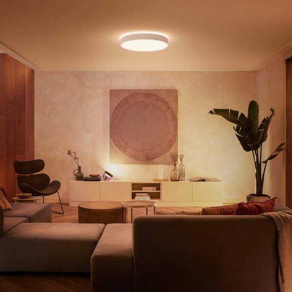 Stropné Lampa Philips Hue, Philips Hue, stmievateľné, Biela, Obývacia izba, Kov, Moderný