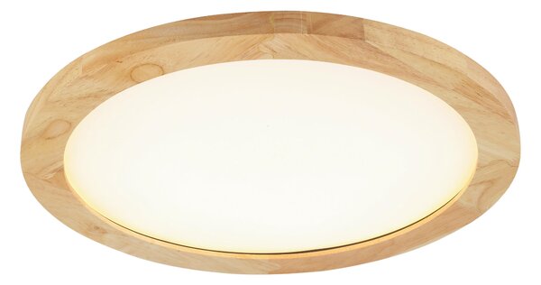 STROPNÉ LED SVIETIDLO, 40/5 cm Novel - Interiérové svietidlá