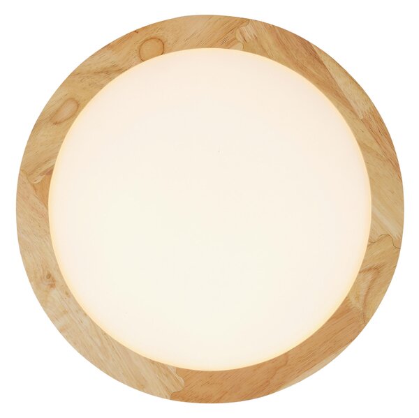 STROPNÉ LED SVIETIDLO, 40/5 cm Novel - Interiérové svietidlá