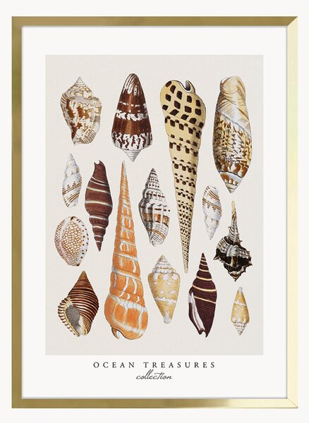 Nástenná dekorácia v ráme Ocean Treasures
