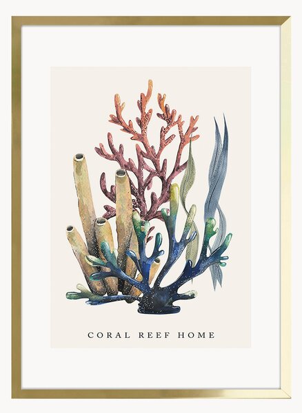 Nástenná dekorácia v ráme Coral Reef Home