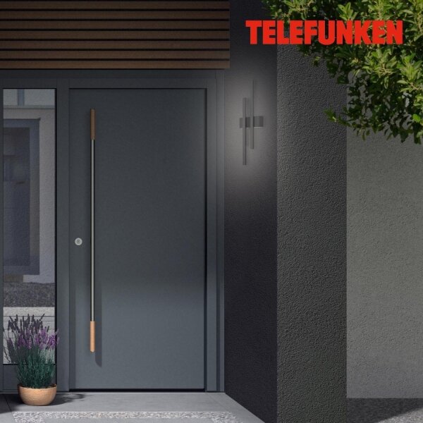 Telefunken 313205TF - LED Vonkajšie nástenné svietidlo 2xLED/4W/230V 4000K IP44