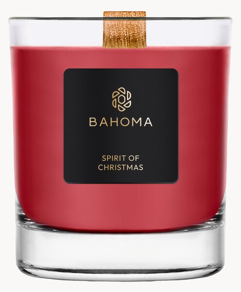 Vonná sviečka Sprit of Christmas (Cassis, Clove & Amber)