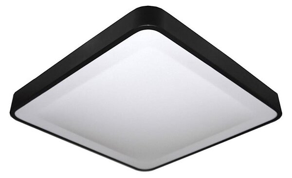 LED Stropné svietidlo WILTON LED/24W/230V čierna