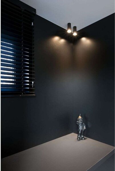 Stropné Lampa Trizo21, Čierna, Spálňa, Hliník