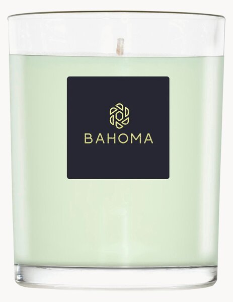 Ručne vyrobená vonná sviečka Alchemy (Primrose, Amberwood)