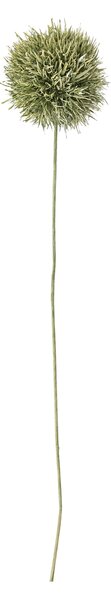Umělá květina Allium Green 63 cm