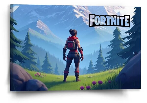 Sablio Obraz FORTNITE Horská krajina - 60x40 cm
