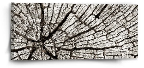 Sablio Obraz Drevo - 110x50 cm