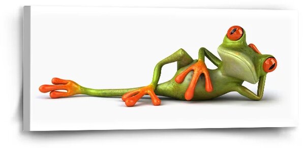 Sablio Obraz Ležiaca žaba - 110x50 cm