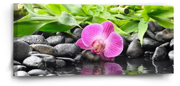 Sablio Obraz Ružová orchidea - 110x50 cm