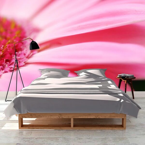 Sablio Tapeta Ružová gerbera - 125x75 cm