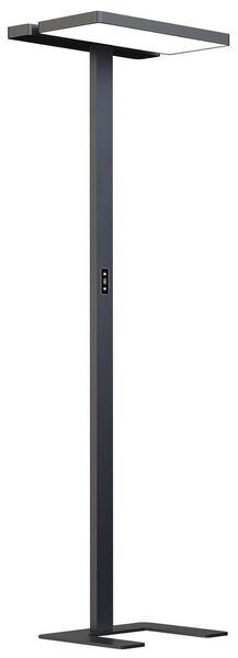 Stojacie Lampa Arcchio, Aila, stmievateľné, Čierna, Pracovňa, Hliník, Moderný