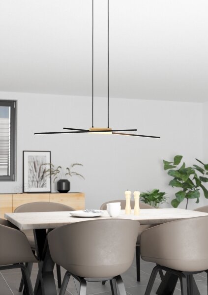 Eglo 900489 - LED Stmievateľný luster na lanku PANAGRIA 2xLED/13W/230V