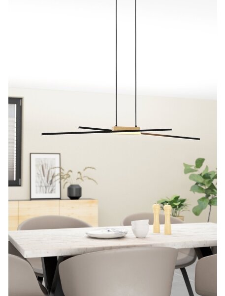 Eglo 900489 - LED Stmievateľný luster na lanku PANAGRIA 2xLED/13W/230V