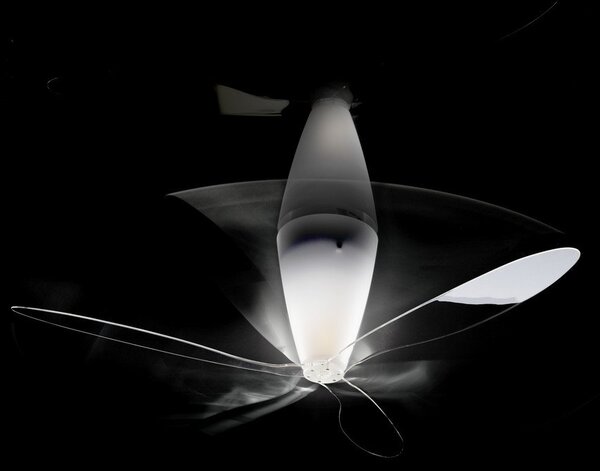 Stropné Lampa Luceplan, stmievateľné, Transparentná, Spálňa, Plast