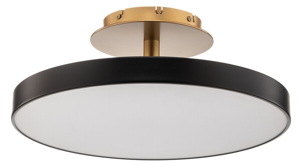 Stropné Lampa UMAGE, Asteria Up Medium, stmievateľné, Čierna, Obývacia izba, Kov, Dizajnový