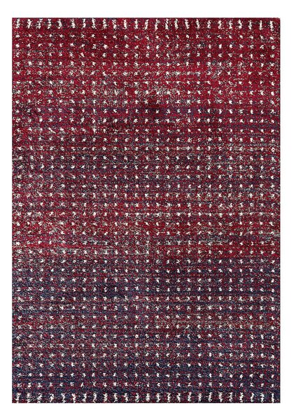 Koberec Royal cherry red/navy 160x230cm