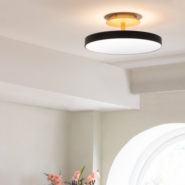 Stropné Lampa UMAGE, Asteria UP PLUS, stmievateľné, Čierna, Obývacia izba, Kov, Dizajnový