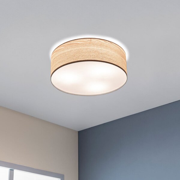 Stropné Lampa Paulmann, Liska, stmievateľné, Drevo, Obývacia izba, Drevo, Moderný