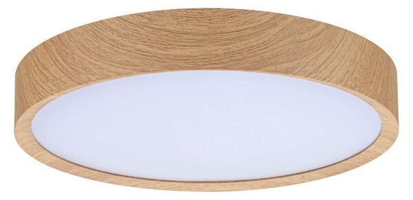 Stropné Lampa Paulmann, Tega, Drevo, Kúpeľňa, Plast, Moderný