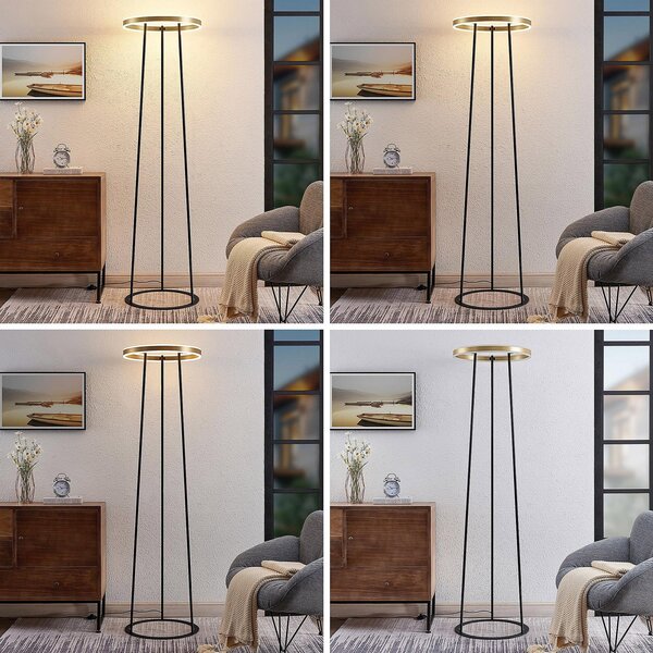 Stojacie Lampa Lucande, Seppe, stmievateľné, Čierna, Obývacia izba, Kov, Dizajnový