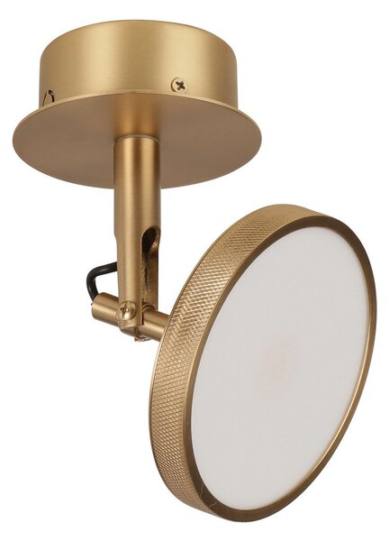 Stropné Lampa UMAGE, Asteria Spot, stmievateľné, Zlatá / Mosadz, Obývacia izba, Kov, Dizajnový