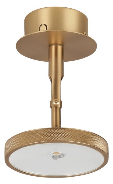 Stropné Lampa UMAGE, Asteria Spot, stmievateľné, Zlatá / Mosadz, Obývacia izba, Kov, Dizajnový
