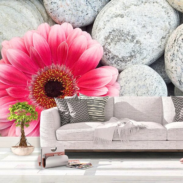 Sablio Tapeta Gerbera na kameňoch - 125x75 cm