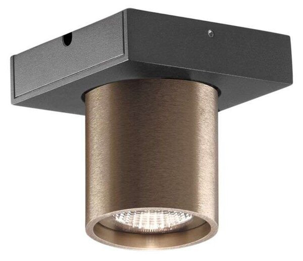 Stropné Lampa LIGHT-POINT, stmievateľné, Bronzová / Stará Mosadz, Obývacia izba, Hliník