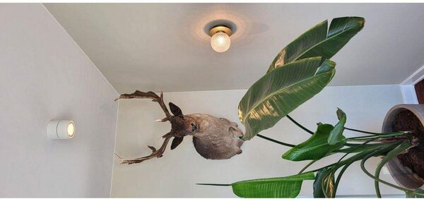 Stropné Lampa ANTIDARK, stmievateľné, Biela, Obývacia izba, Hliník