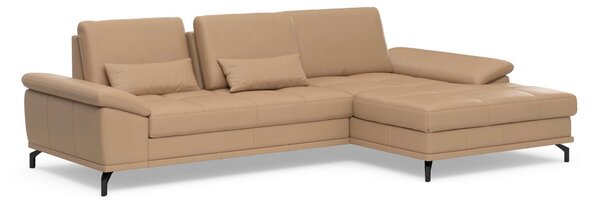 ROHOVÁ SEDAČKA, koža, cappuccino Sit & More - Sedačky, Online Only