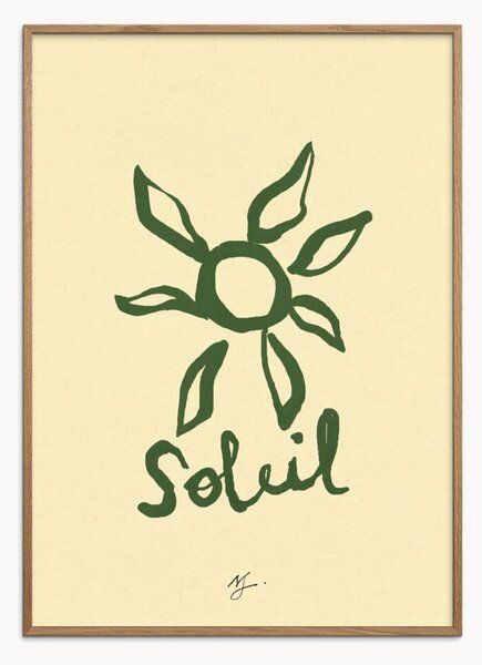 Nástenná dekorácia v ráme Soleil Vert
