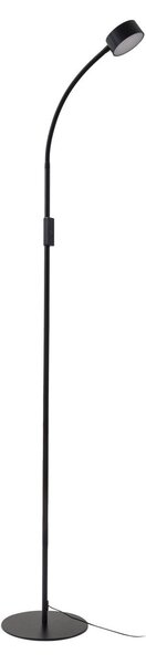 Stojacie Lampa Lindby, Maori, stmievateľné, Čierna, Pracovňa, Kov, Moderný