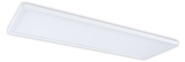 Stropné Lampa Paulmann, Atria Shine, Biela, Kuchyňa, Plast, Moderný