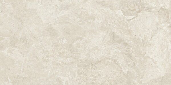 Canyon Bone 60x120 R