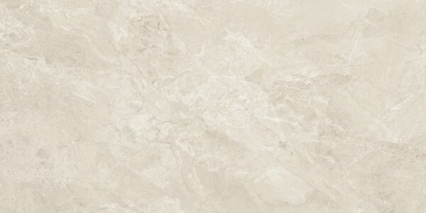 Canyon Bone 60x120 R