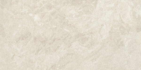 Canyon Bone 60x120 R