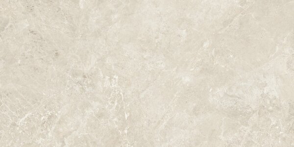 Canyon Bone 60x120 R