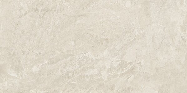 Canyon Bone 60x120 R